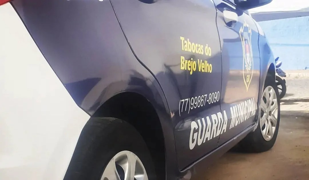 (Foto: Divulgação)
