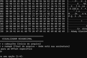 Visualizador hexadecimal exibindo dados binários e menu de opções (Créditos: Adamy Gianinni)