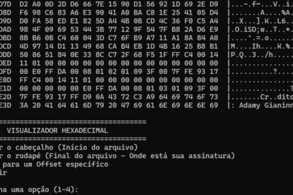 Visualizador hexadecimal exibindo dados binários e menu de opções (Créditos: Adamy Gianinni)