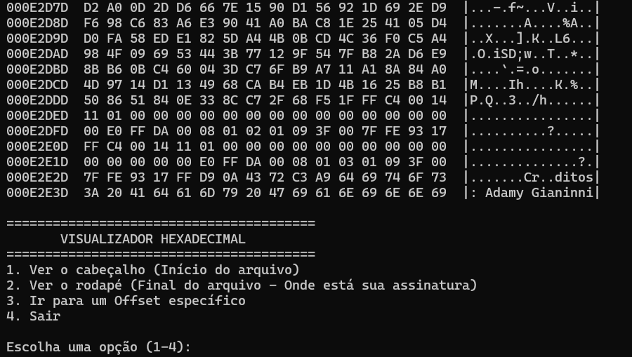 Visualizador hexadecimal exibindo dados binários e menu de opções (Créditos: Adamy Gianinni)