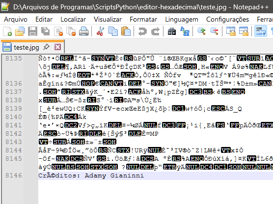 Editor Notepad++ exibindo dados binários de uma imagem (Créditos: Adamy Gianinni)